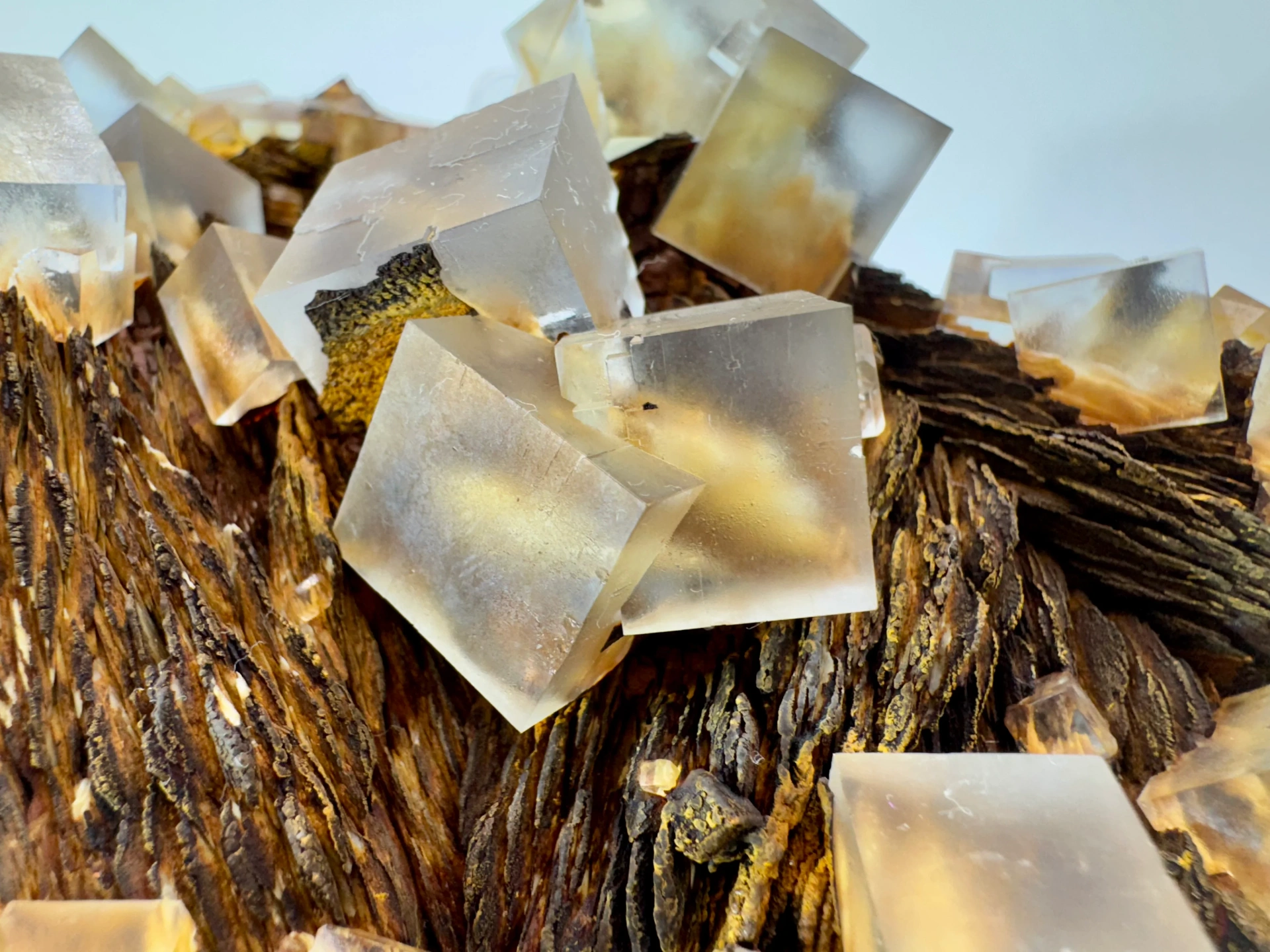 This is a specimen I retrieved from a clean pocket like this — perfect, transparent cubes elegantly placed on a matrix of Baryte. Probably the best piece I have ever found!
