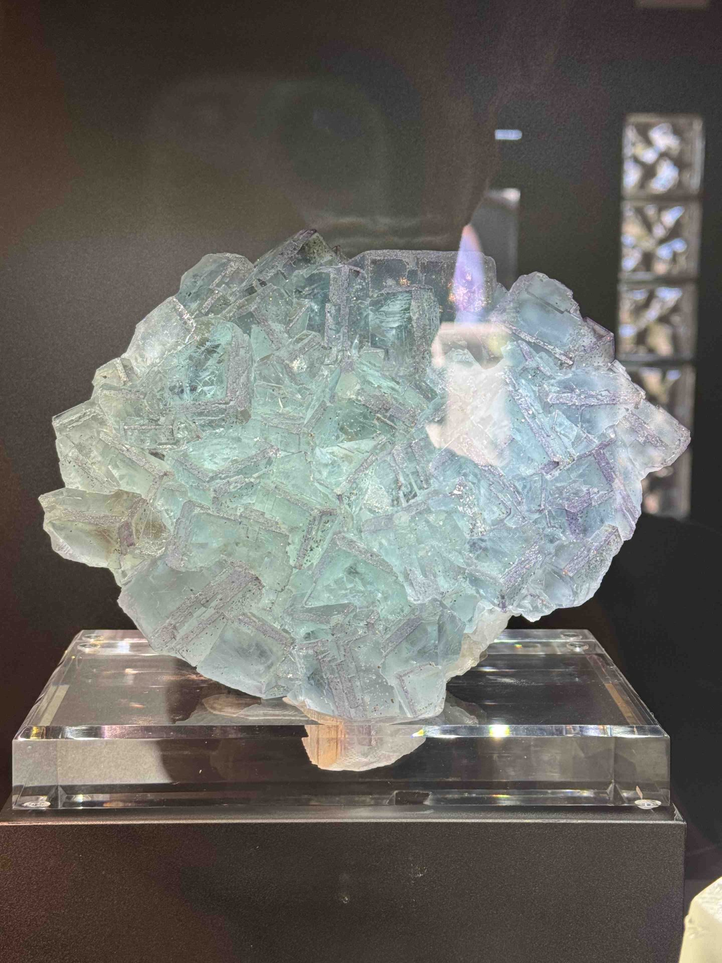 Tucson Gem & Mineral Show 2026 preview 2